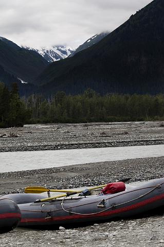 050 Haines, Chilkat Bald Eagle Preserve.jpg
